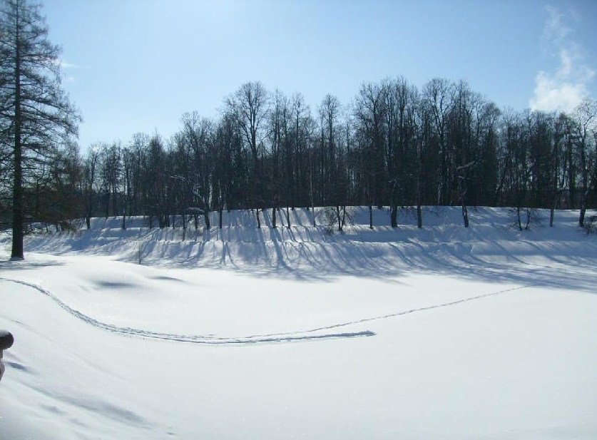 Зима 2009 года. Фото автора
