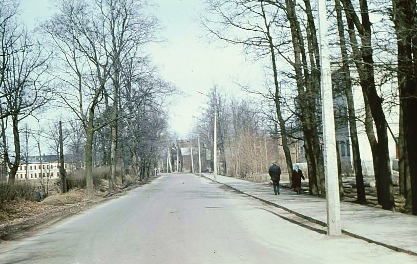 Панорама улицы Чкалова. 
Фото автора. 1973 год