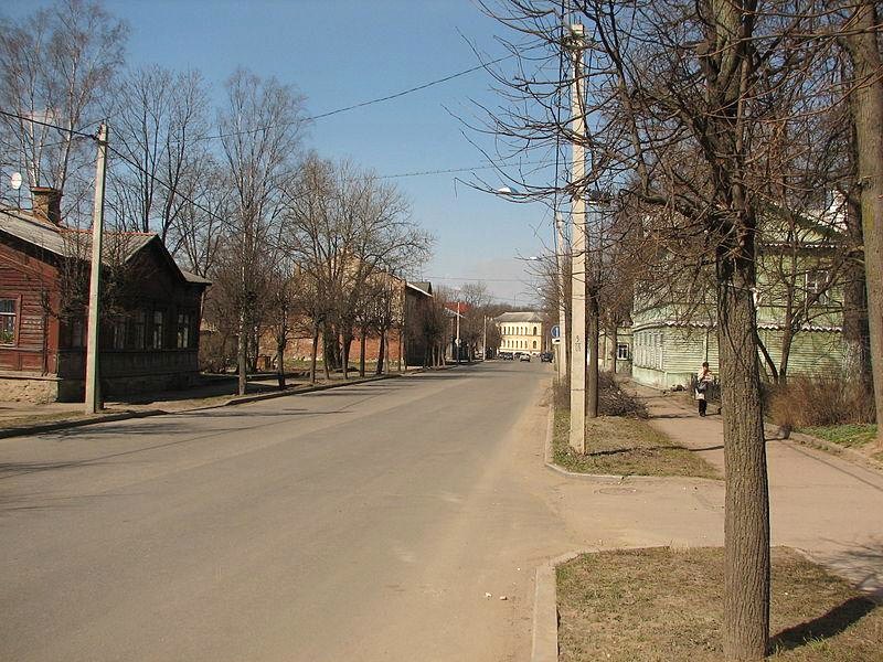 Панорама улицы Чкалова. 2011 год